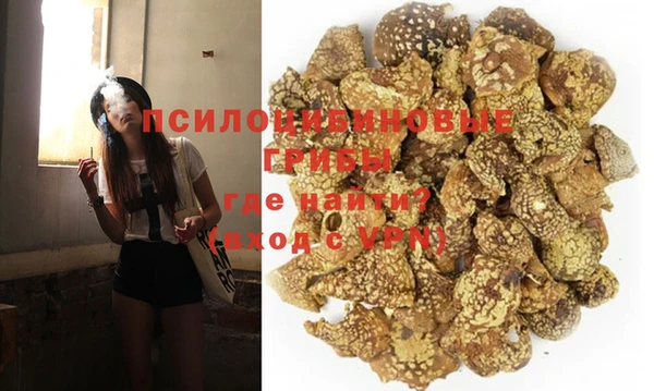 не бодяженный Алзамай