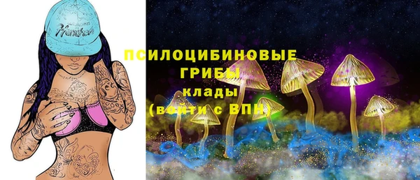 дурь Алексеевка