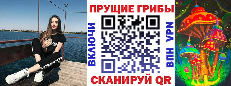 darknet какой сайт  Десногорск  Галлюциногенные грибы мицелий  купить наркоту 