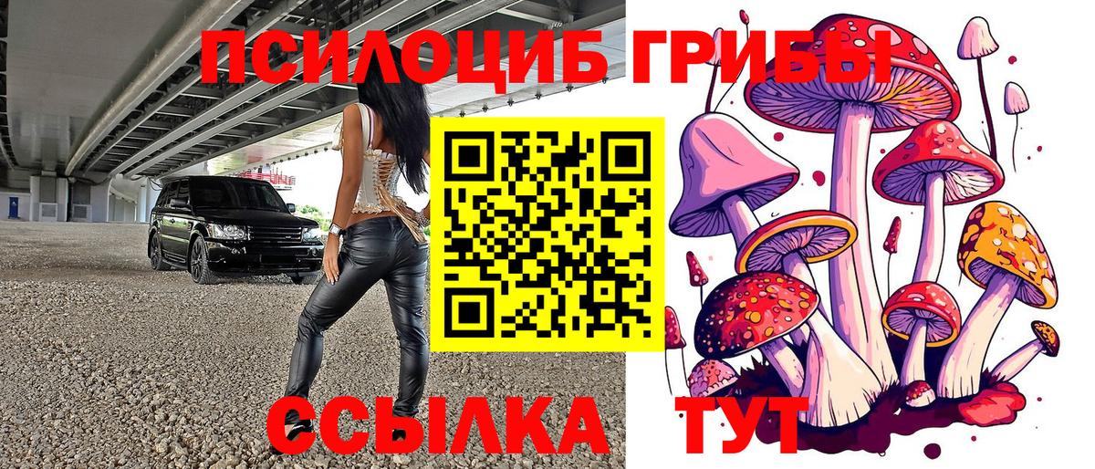 Десногорск  Галлюциногенные грибы ЛСД  Вход с VPN 