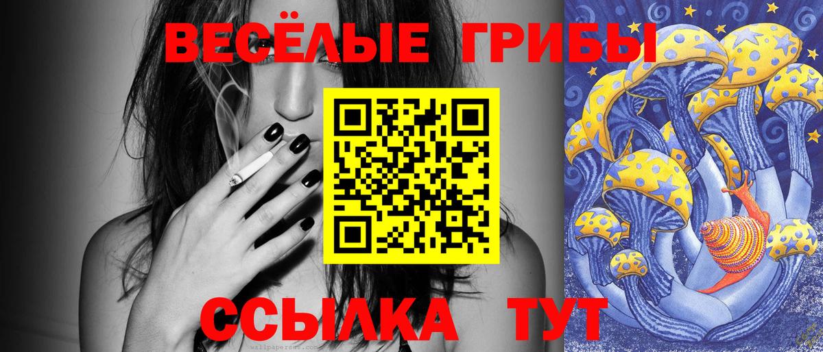 Псилоцибиновые грибы Cubensis Десногорск