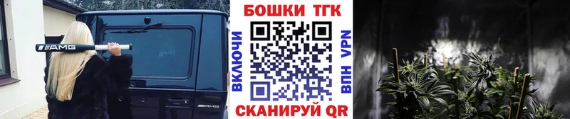 Шишки марихуана планчик  как найти закладки  Десногорск 